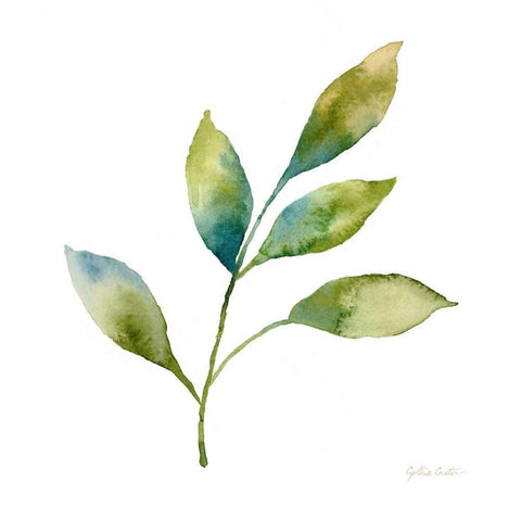 Modern Leaf Study on White IV White Modern Wood Framed Art Print with Double Matting by Coulter, Cynthia