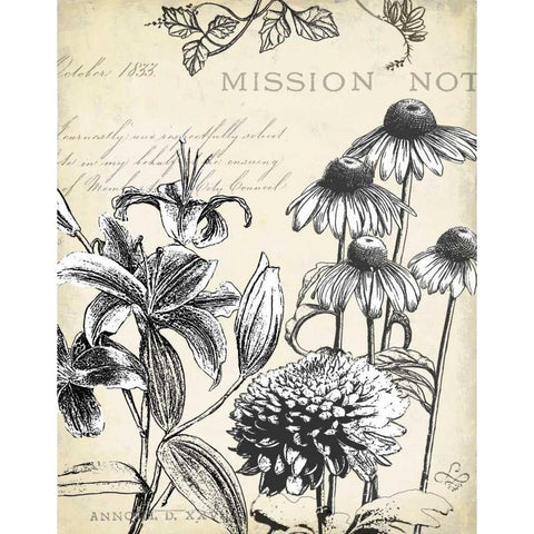 Pen and Ink Floral Study III  Black Modern Wood Framed Art Print with Double Matting by Cusson, Marie Elaine