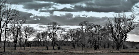 Big Sky    White Modern Wood Framed Art Print with Double Matting by Romita, Denise