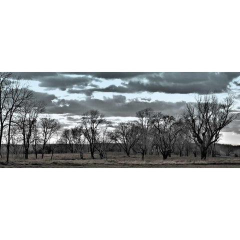 Big Sky    Black Modern Wood Framed Art Print by Romita, Denise