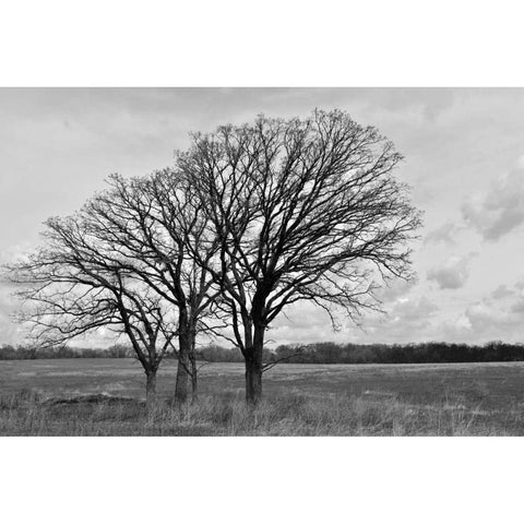 Standing Together Black Modern Wood Framed Art Print with Double Matting by Romita, Denise