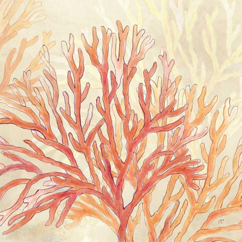 Coral Reef Cream I White Modern Wood Framed Art Print by Coulter, Cynthia