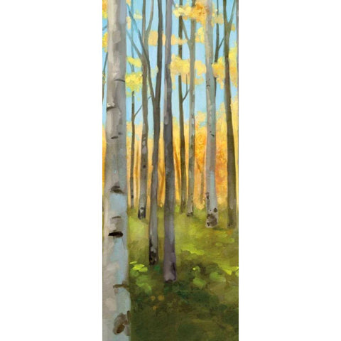 Birch Woods Panel I  Black Modern Wood Framed Art Print with Double Matting by Milan, Vittorio