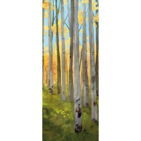 Birch Woods Panel II Gold Ornate Wood Framed Art Print with Double Matting by Milan, Vittorio
