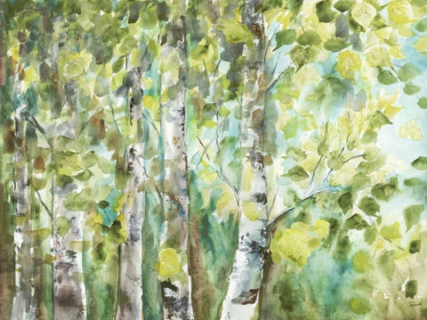 Watercolor Summer Aspens Black Ornate Wood Framed Art Print with Double Matting by Tre Sorelle Studios