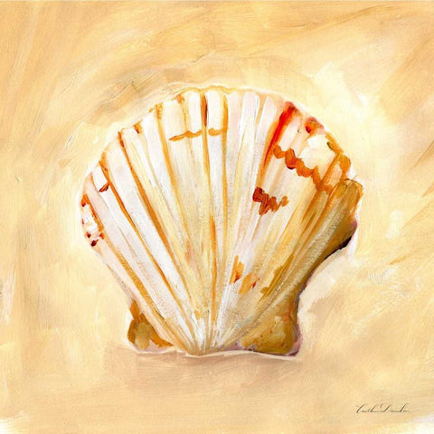 Painted Seashells II  White Modern Wood Framed Art Print with Double Matting by Dundon, Caitlin