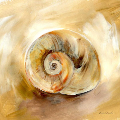 Painted Seashells V  Black Ornate Wood Framed Art Print with Double Matting by Dundon, Caitlin