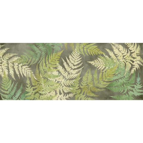 Majestic Ferns on Gray Panel Black Modern Wood Framed Art Print by Coulter, Cynthia