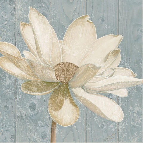 Vintage Lotus I  White Modern Wood Framed Art Print with Double Matting by Elaine-Cusson, Marie