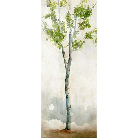 Watercolor Birch Trees I  Black Modern Wood Framed Art Print with Double Matting by Milan, Vittorio
