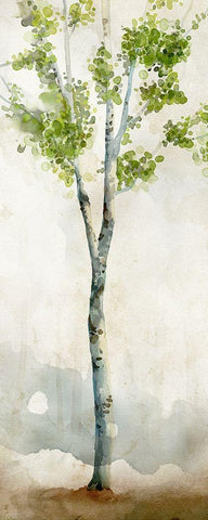 Watercolor Birch Trees I  White Modern Wood Framed Art Print with Double Matting by Milan, Vittorio