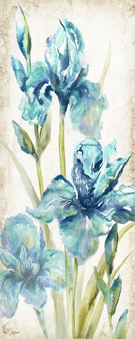 Watercolor Iris Panel REV II  White Modern Wood Framed Art Print with Double Matting by Tre Sorelle Studios