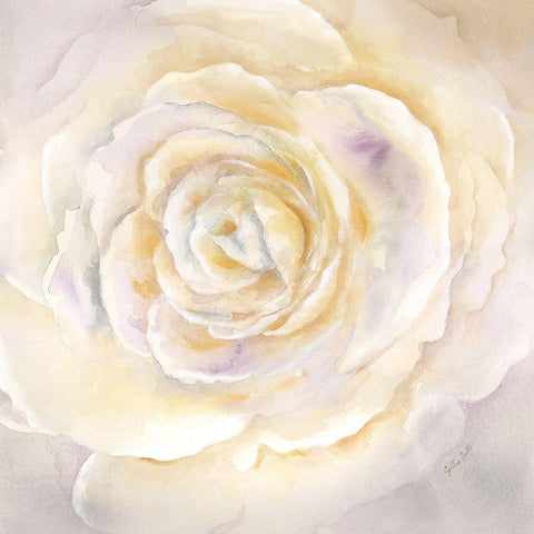 Watercolor Rose Closeup I Black Modern Wood Framed Art Print by Coulter, Cynthia