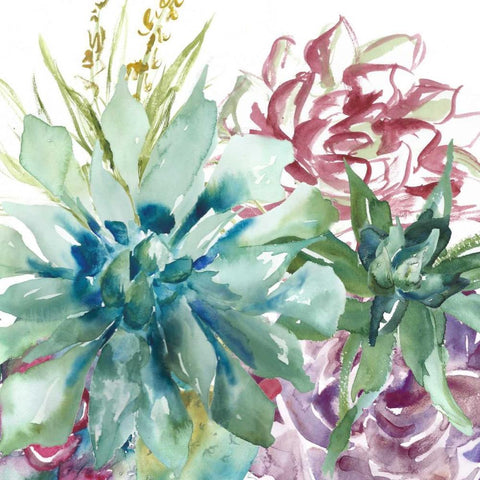 Succulent Garden Watercolor II White Modern Wood Framed Art Print with Double Matting by Tre Sorelle Studios