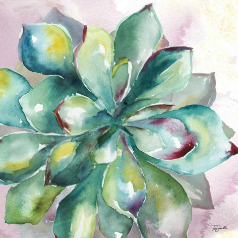 Succulent Watercolor I Black Ornate Wood Framed Art Print with Double Matting by Tre Sorelle Studios