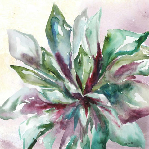 Succulent Watercolor II  White Modern Wood Framed Art Print with Double Matting by Tre Sorelle Studios