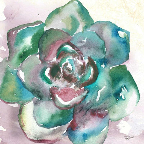 Succulent Watercolor IV White Modern Wood Framed Art Print with Double Matting by Tre Sorelle Studios