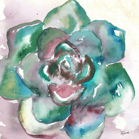 Succulent Watercolor IV Black Ornate Wood Framed Art Print with Double Matting by Tre Sorelle Studios