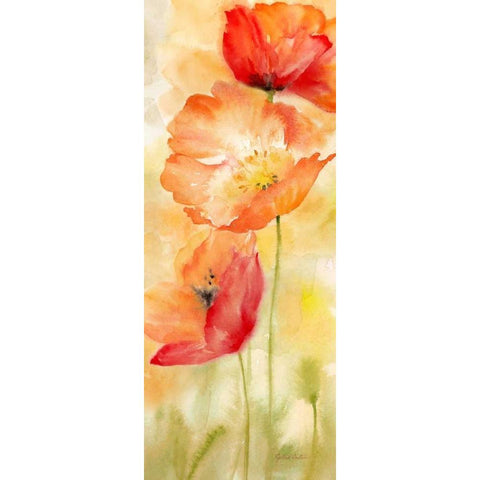 Watercolor Poppy  Meadow Spice Panel II Black Modern Wood Framed Art Print with Double Matting by Coulter, Cynthia