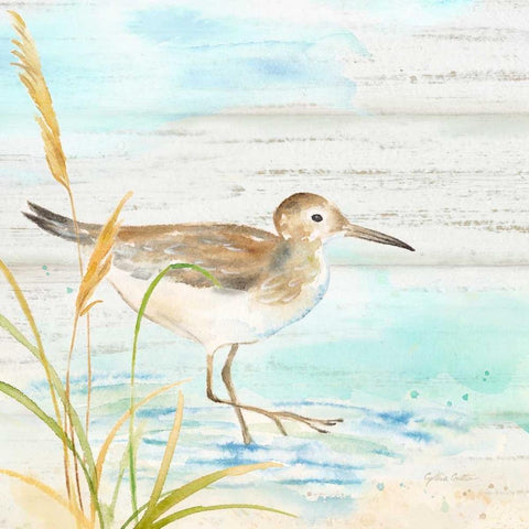 Sandpiper Beach I White Modern Wood Framed Art Print with Double Matting by Coulter, Cynthia