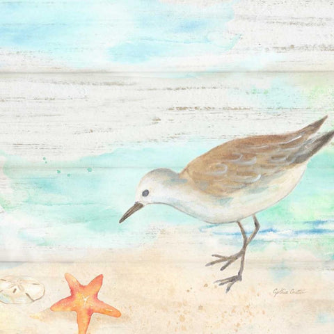 Sandpiper Beach II White Modern Wood Framed Art Print by Coulter, Cynthia