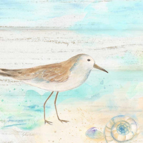 Sandpiper Beach III Gold Ornate Wood Framed Art Print with Double Matting by Coulter, Cynthia