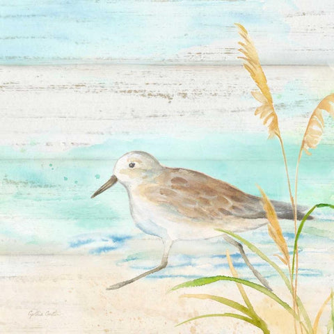 Sandpiper Beach IV White Modern Wood Framed Art Print with Double Matting by Coulter, Cynthia