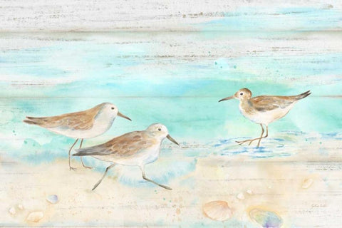 Sandpiper Beach Landscape White Modern Wood Framed Art Print with Double Matting by Coulter, Cynthia