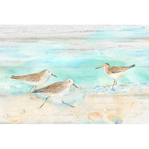 Sandpiper Beach Landscape Gold Ornate Wood Framed Art Print with Double Matting by Coulter, Cynthia