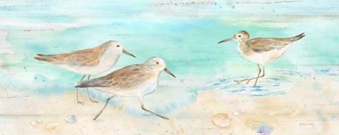 Sandpiper Beach Panel White Modern Wood Framed Art Print with Double Matting by Coulter, Cynthia