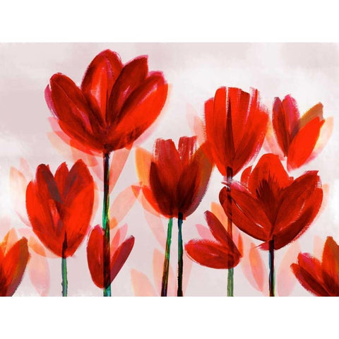 Contemporary Poppies Red Black Modern Wood Framed Art Print by Northern Lights