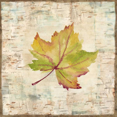 Nature Walk Leaves III Black Modern Wood Framed Art Print with Double Matting by Coulter, Cynthia