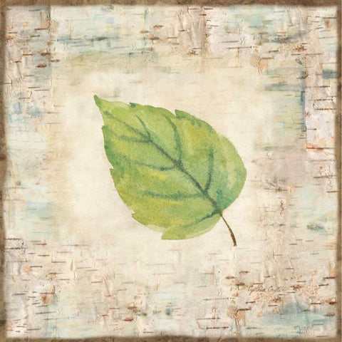 Nature Walk Leaves IV White Modern Wood Framed Art Print with Double Matting by Coulter, Cynthia