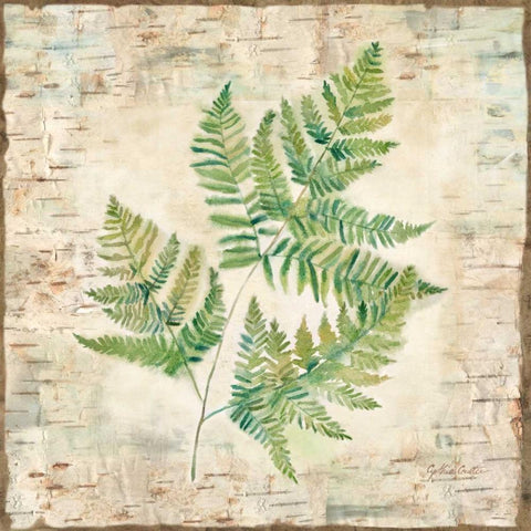 Birch Bark Ferns I White Modern Wood Framed Art Print with Double Matting by Coulter, Cynthia