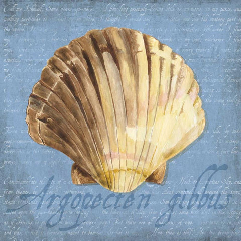 Oceanum Shells Blue V Gold Ornate Wood Framed Art Print with Double Matting by Reed, Tara