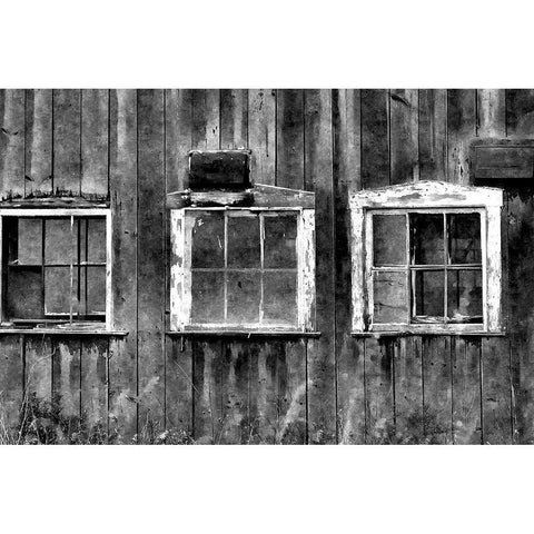 The Old Barn Window Gold Ornate Wood Framed Art Print with Double Matting by Romita, Denise