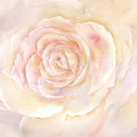 Blush Rose Closeup II Gold Ornate Wood Framed Art Print with Double Matting by Coulter, Cynthia