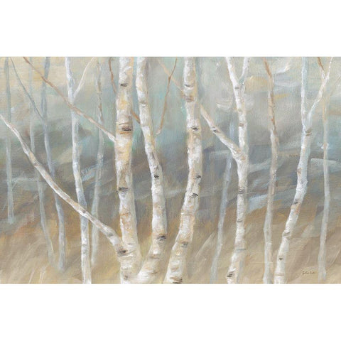 Silver Birch Landscape Gold Ornate Wood Framed Art Print with Double Matting by Coulter, Cynthia