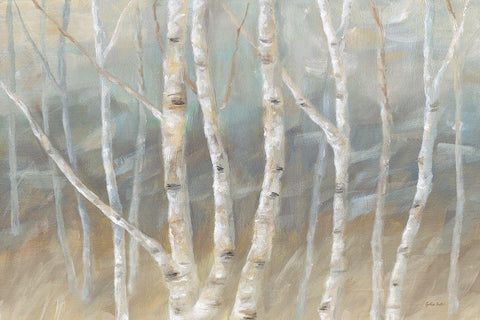 Silver Birch Landscape White Modern Wood Framed Art Print with Double Matting by Coulter, Cynthia