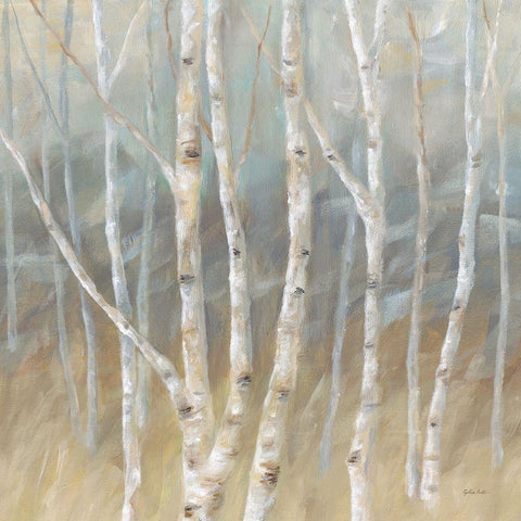 Silver Birch Square Black Ornate Wood Framed Art Print with Double Matting by Coulter, Cynthia