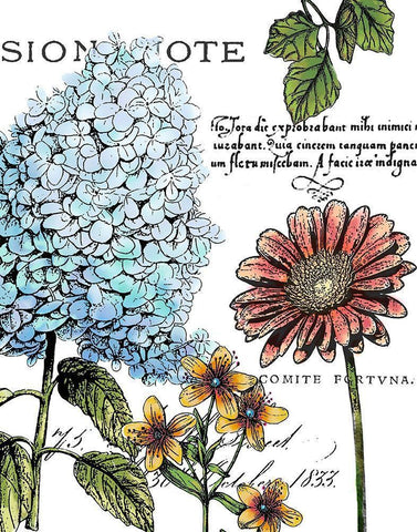 Botanical Postcard Color I White Modern Wood Framed Art Print with Double Matting by Cusson, Marie Elaine