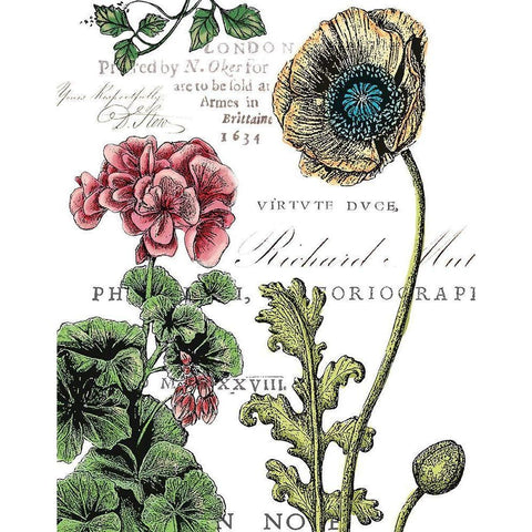 Botanical Postcard Color III Black Modern Wood Framed Art Print with Double Matting by Cusson, Marie Elaine