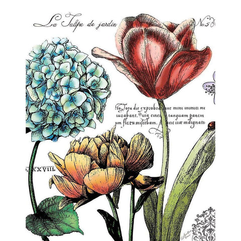 Botanical Postcard Color IV Black Modern Wood Framed Art Print by Cusson, Marie Elaine