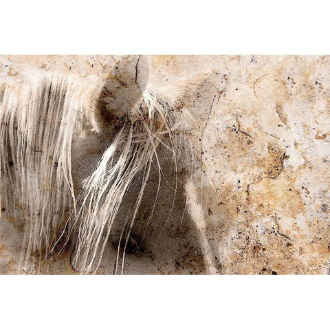 Cast in Stone White Modern Wood Framed Art Print by Tyrrell, Lu Anne