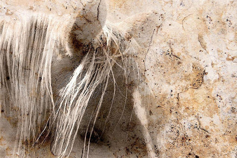 Cast in Stone White Modern Wood Framed Art Print with Double Matting by Tyrrell, Lu Anne