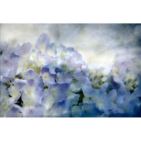 Calm Black Modern Wood Framed Art Print by Tyrrell, Lu Anne