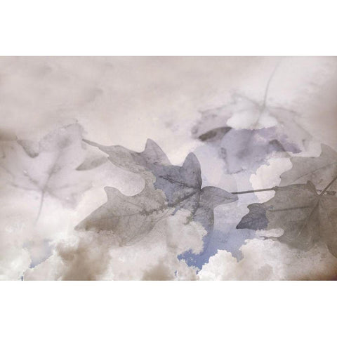 Shadow Leaves White Modern Wood Framed Art Print by Tyrrell, Lu Anne