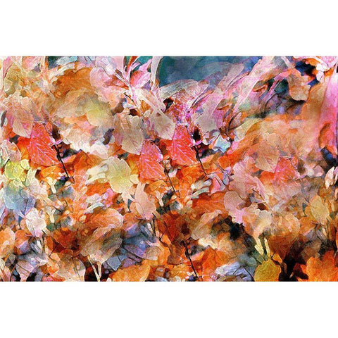 Falls Folly Black Modern Wood Framed Art Print by Tyrrell, Lu Anne