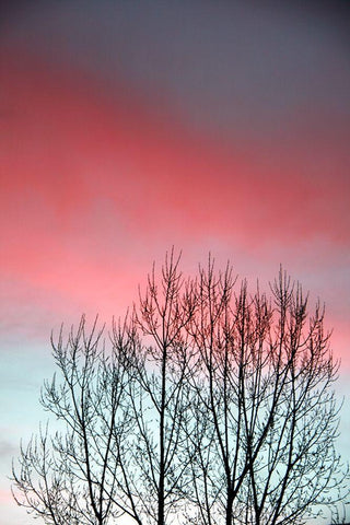 Twilight Sunset panel set White Modern Wood Framed Art Print with Double Matting by Tyrrell, Lu Anne