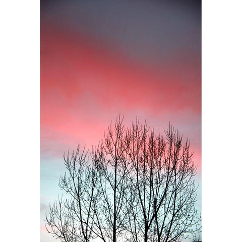 Twilight Sunset panel set Black Modern Wood Framed Art Print by Tyrrell, Lu Anne